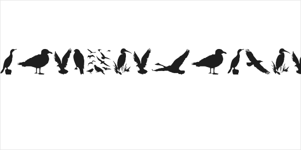 BirdsAndFriends Logo