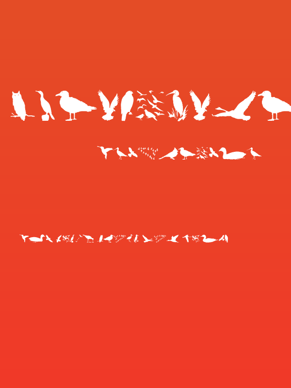 BirdsAndFriends Poster