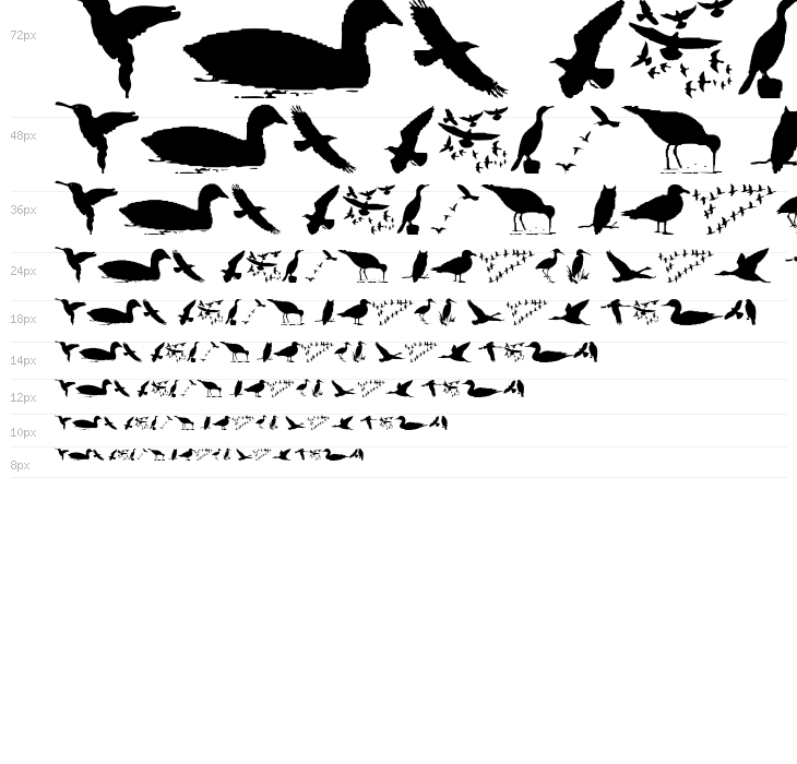 BirdsAndFriends Waterfall