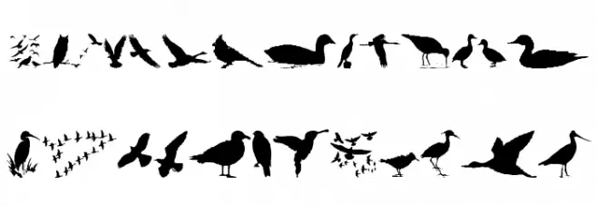 BirdsAndFriends फ़ॉन्ट लोअरकेस