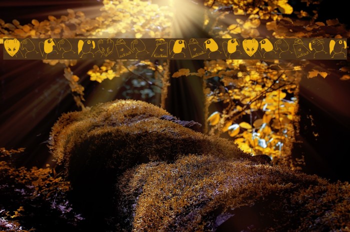 BirdsAndOtherBeings Example 1