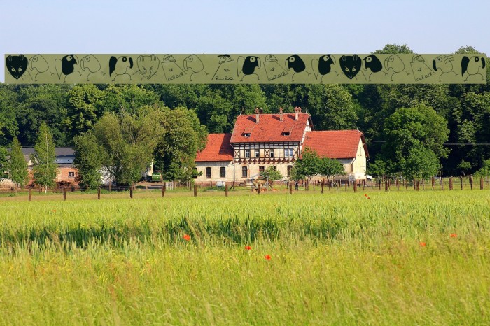 BirdsAndOtherBeings Example 2