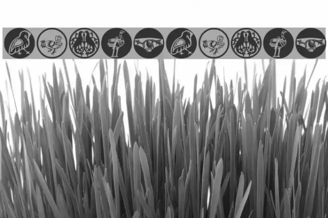 BirdsBirds Font examples