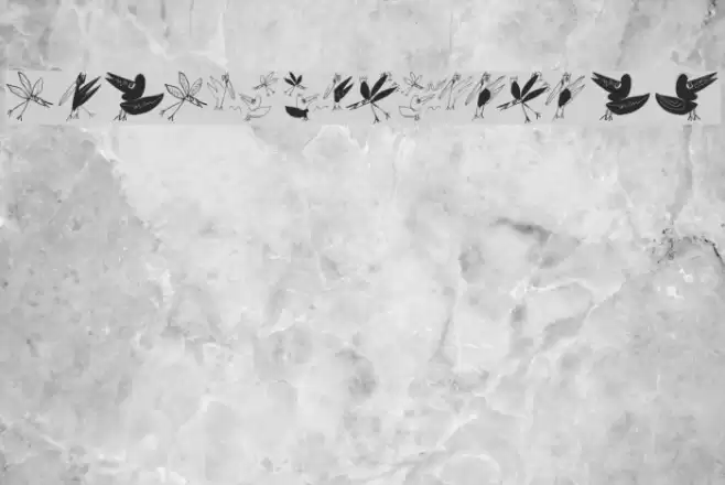 BirdsEtcetera Font examples