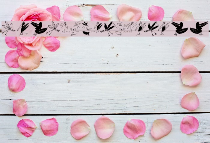 BirdsEtcetera Example 2