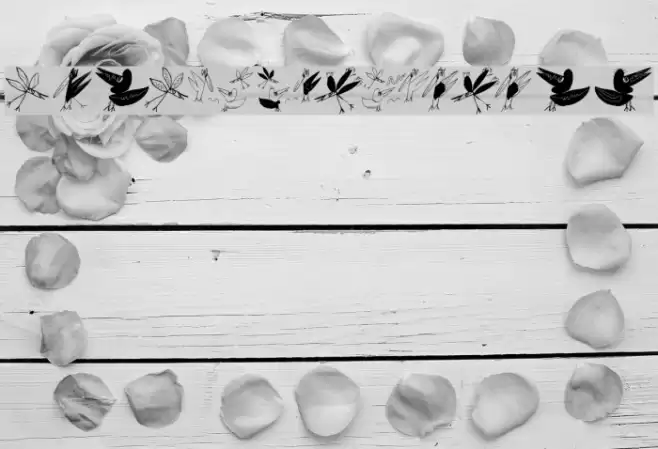 BirdsEtcetera Font examples