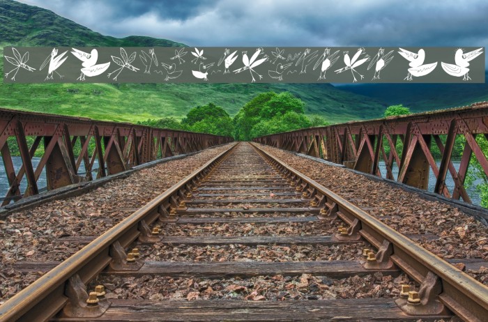 BirdsEtcetera Example 3