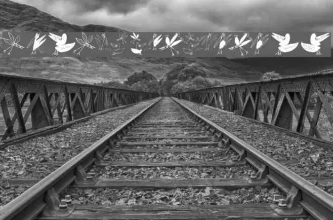 BirdsEtcetera Font examples