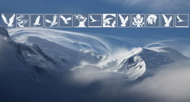 BirdsInHeaven Example 1