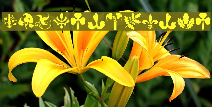 BirdsNPlants Font examples