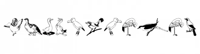 BirdsOSeven  Fuentes Gratis Descargar