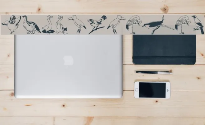 BirdsOSeven Example 1