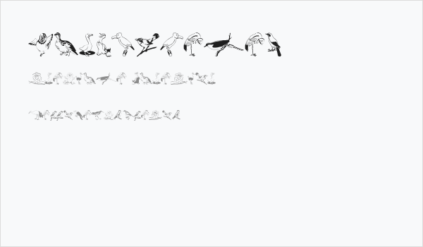 BirdsOSeven Business Card