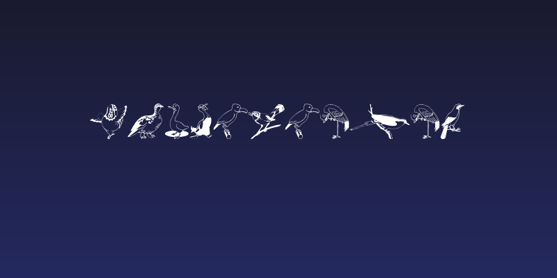 BirdsOSeven Social Header