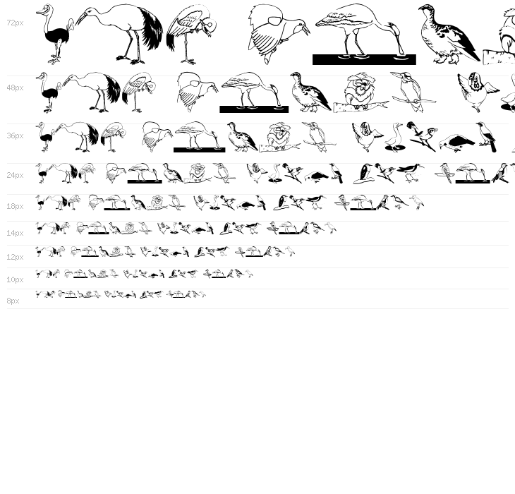 BirdsOSeven Waterfall