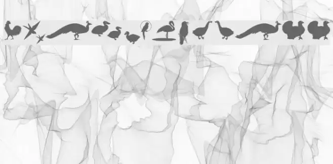 BirdsOThree Font examples