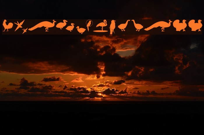 BirdsOThree Example 3