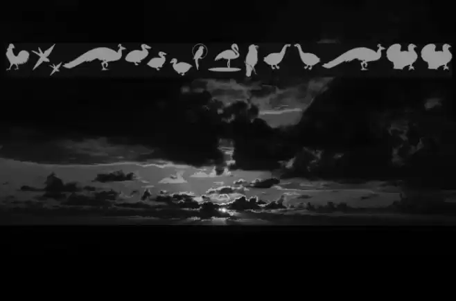 BirdsOThree Font examples