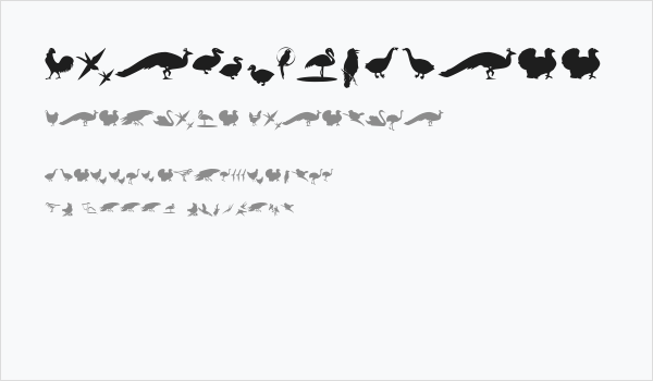 BirdsOThree Business Card