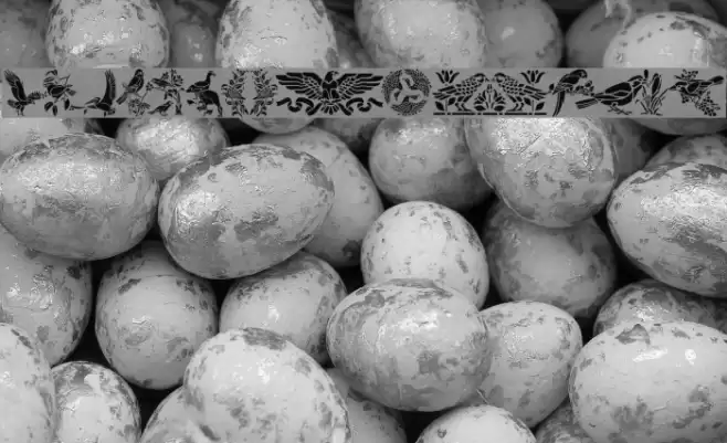 BirdsOne Font examples