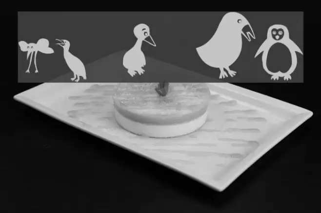 Birds Schriftart examples
