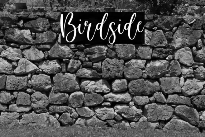 Birdside Font examples