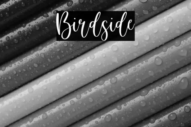 Birdside Font examples