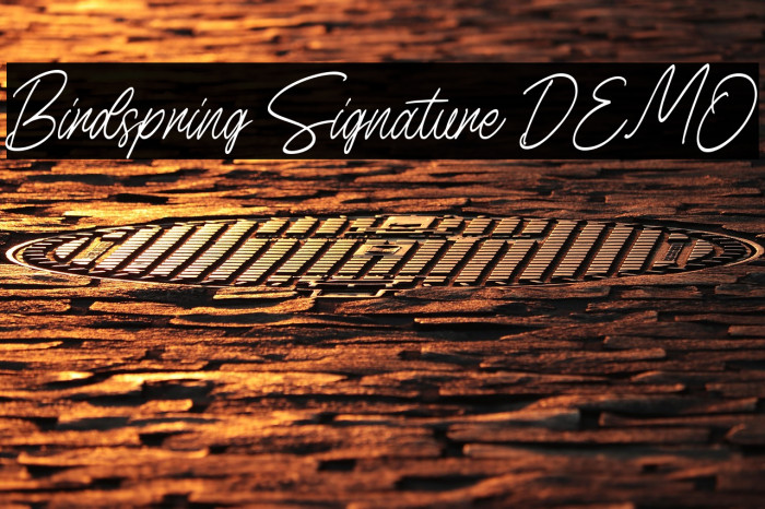 Birdspring Signature DEMO Example 1