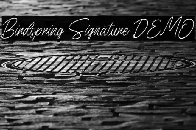 Birdspring Signature DEMO फ़ॉन्ट examples
