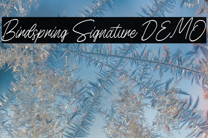 Birdspring Signature DEMO Example 2