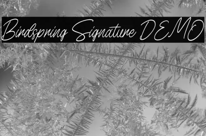 Birdspring Signature DEMO फ़ॉन्ट examples