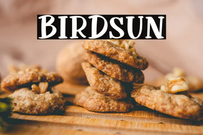 Birdsun Example 1