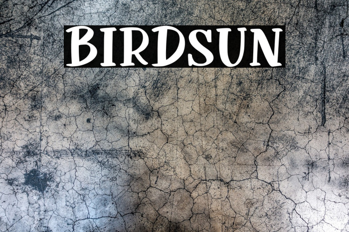 Birdsun Example 2