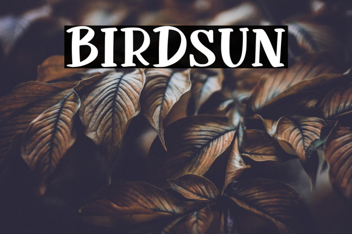 Birdsun Example 3
