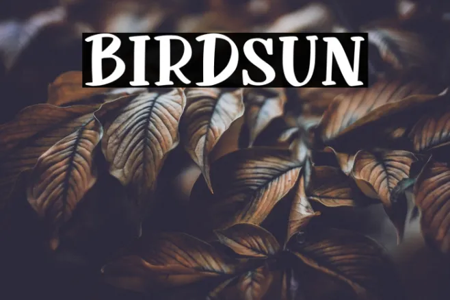 Birdsun Example 3