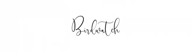 Birdwatch  Скачать бесплатные шрифты