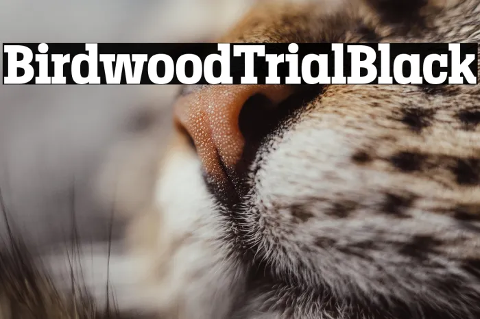 Birdwood Trial Black Example 2