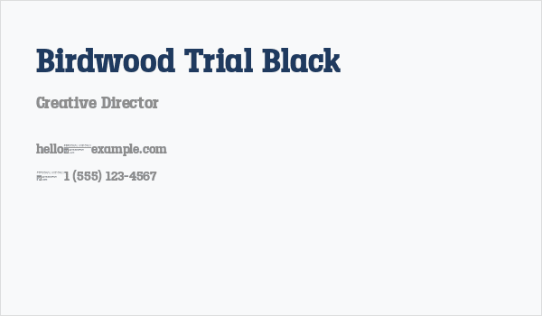 Birdwood Trial Black Business Card