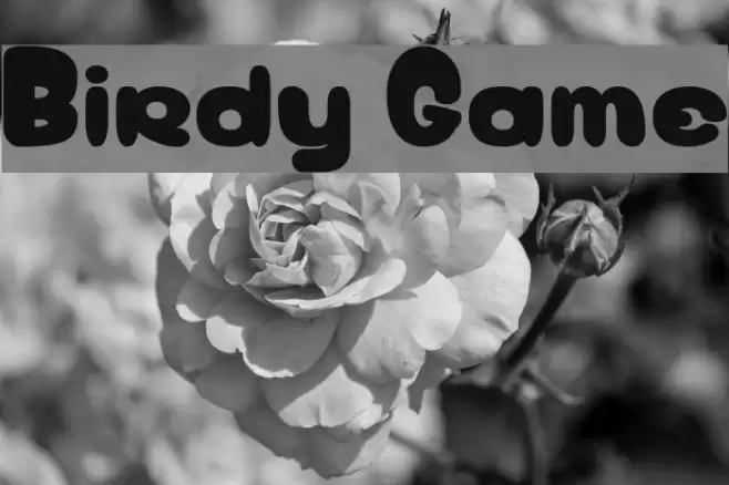 Birdy Game Font examples