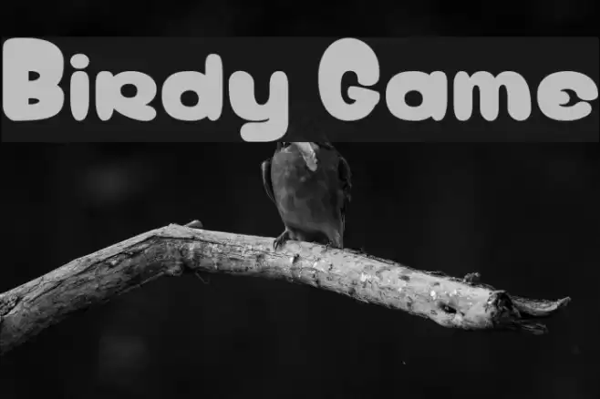 Birdy Game Font examples