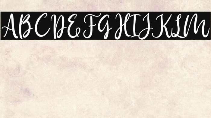 Birdy Home Example 1