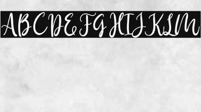 Birdy Home Font examples