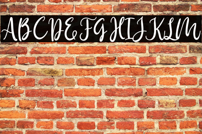 Birdy Home Example 2