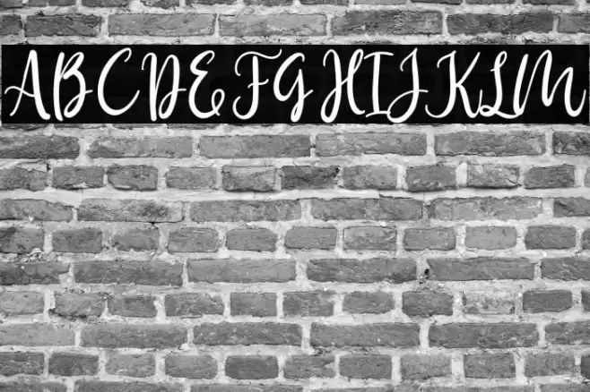 Birdy Home Font examples