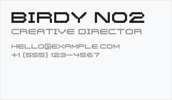 Birdy No2 Business Card
