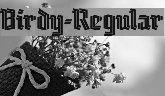 Birdy-Regular Font examples