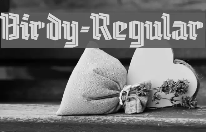 Birdy-Regular Font examples