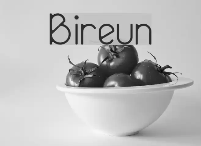 Bireun Font examples