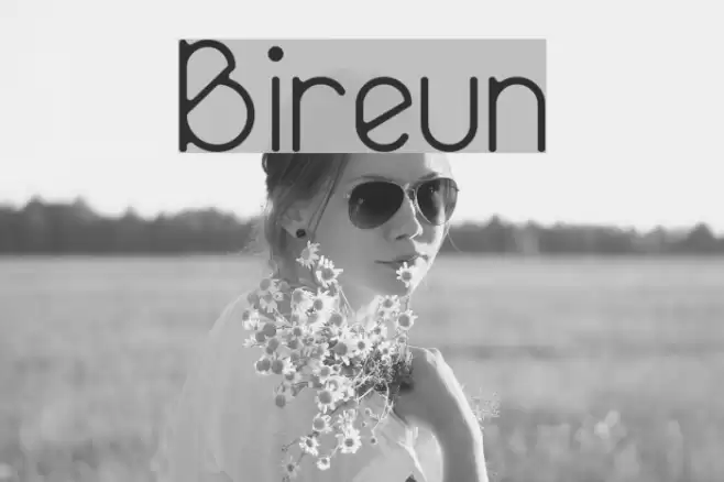Bireun Font examples