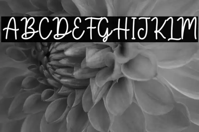 Birgitta Font examples